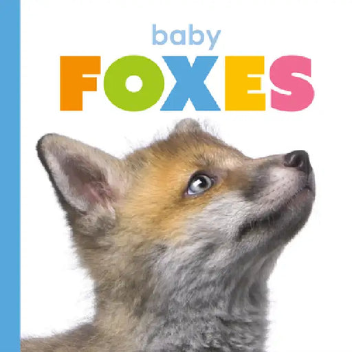 Baby Foxes by Kate Riggs