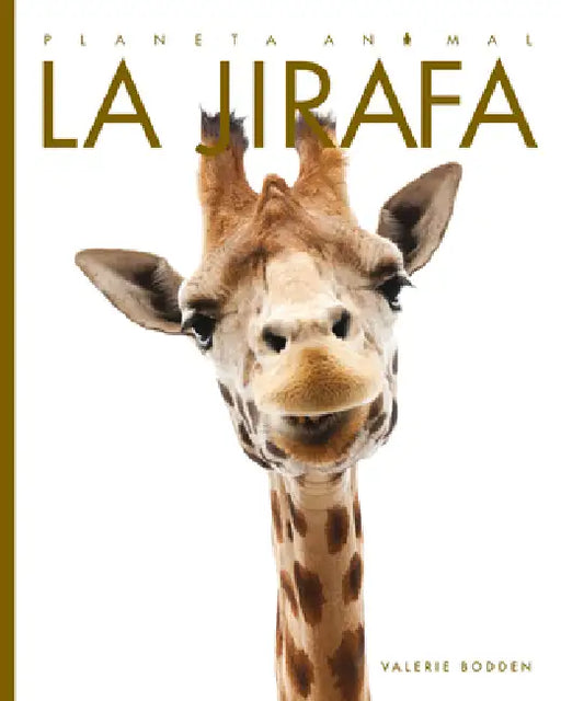 La Jirafa by Valerie Bodden