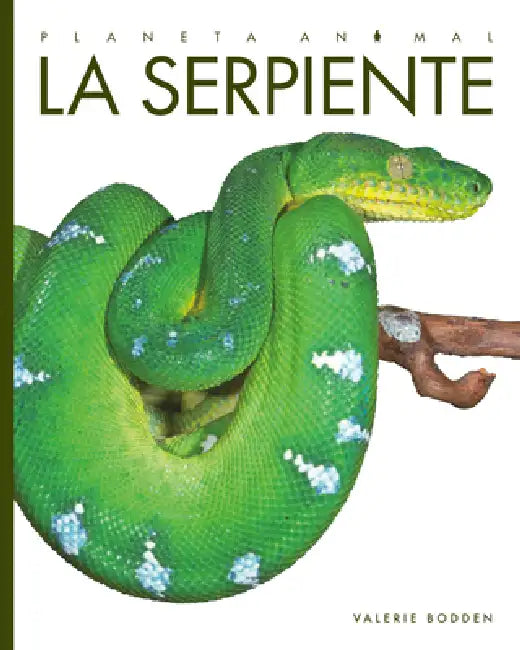 La Serpiente by Valerie Bodden