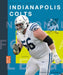 Indianapolis Colts by Michael E. Goodman