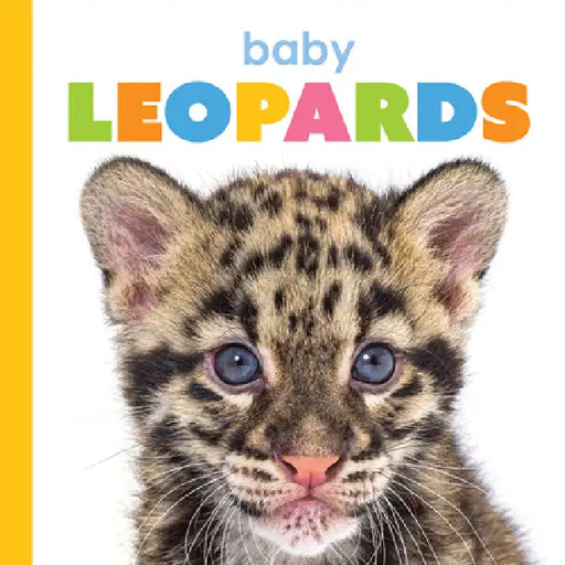 Baby Leopards by Meg Greve