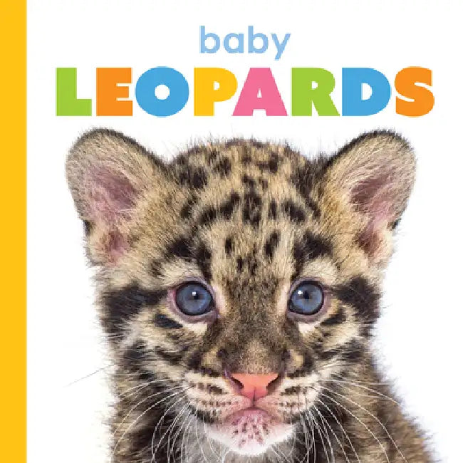 Baby Leopards by Meg Greve
