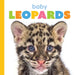 Baby Leopards by Meg Greve