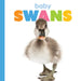 Baby Swans by Meg Greve