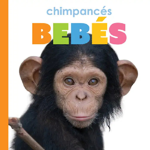 Chimpancés Bebés by Meg Greve