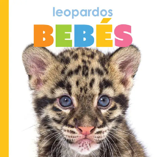 Leopardos Bebés by Meg Greve