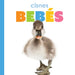 Cisnes Bebés by Meg Greve