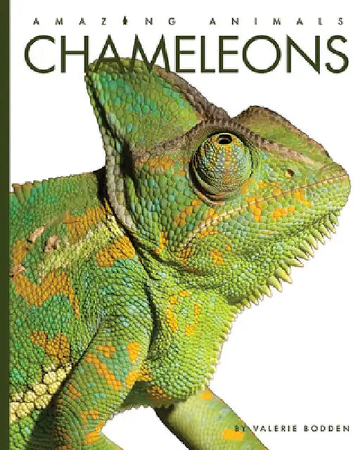 Chameleons by Valerie Bodden