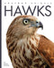 Hawks by Kate Riggs