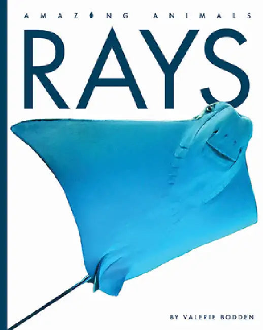 Rays by Valerie Bodden
