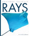 Rays by Valerie Bodden
