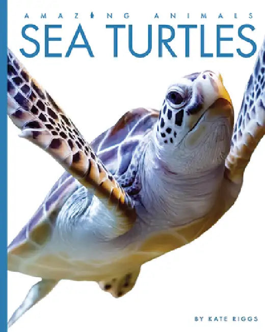 Sea Turtles by Kate Riggs