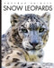 Snow Leopards by Valerie Bodden