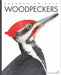 Woodpeckers by Kate Riggs