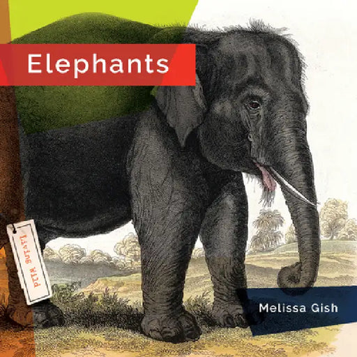 Elephants by Melissa Gish
