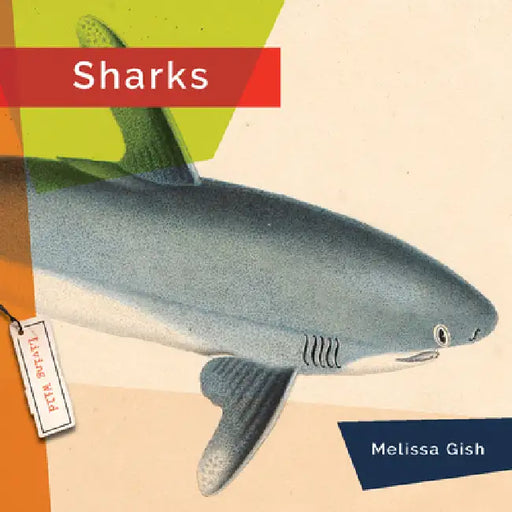 Sharks by Melissa Gish