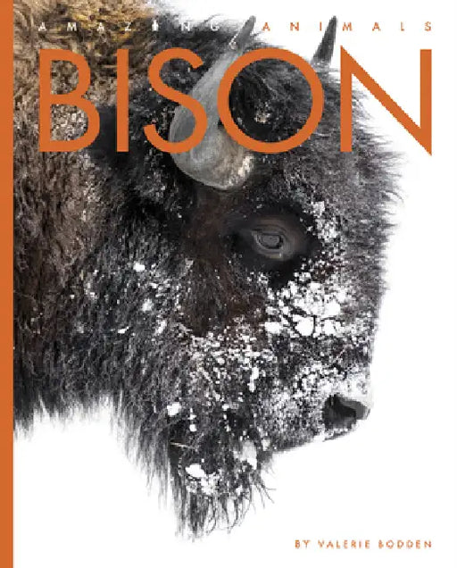 Bison by Valerie Bodden