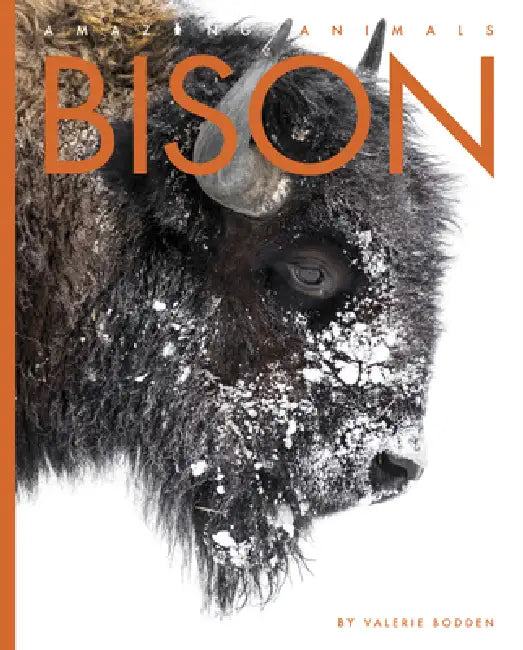 Bison by Valerie Bodden