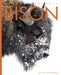 Bison by Valerie Bodden