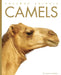 Camels by Kate Riggs
