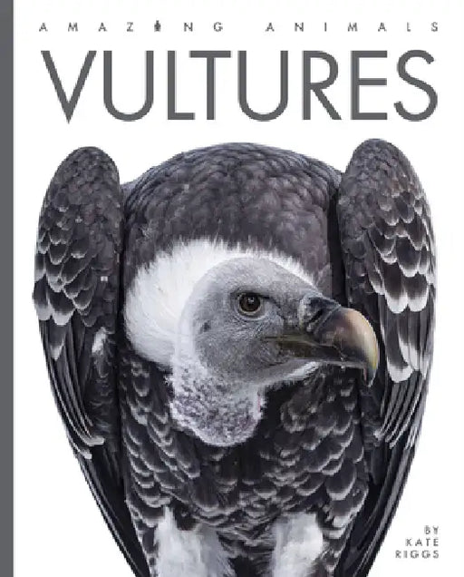 Vultures by Kate Riggs