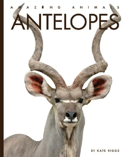 Antelopes by Kate Riggs