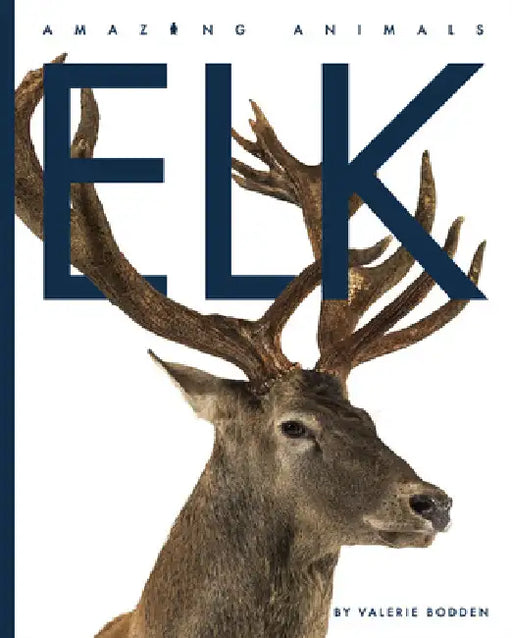 Elk by Valerie Bodden