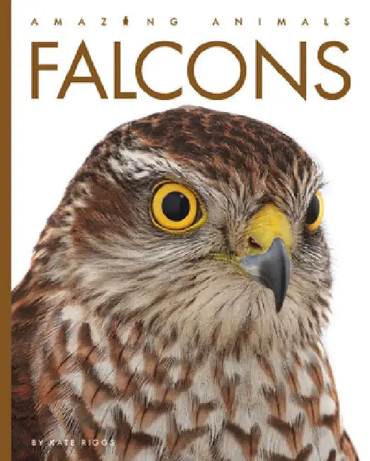 Falcons by Kate Riggs