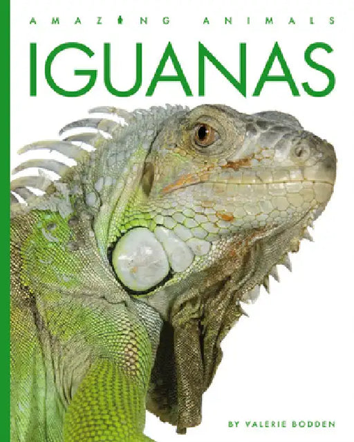 Iguanas by Valerie Bodden
