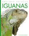 Iguanas by Valerie Bodden