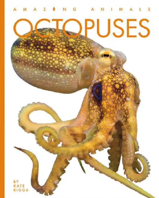 Octopuses by Kate Riggs