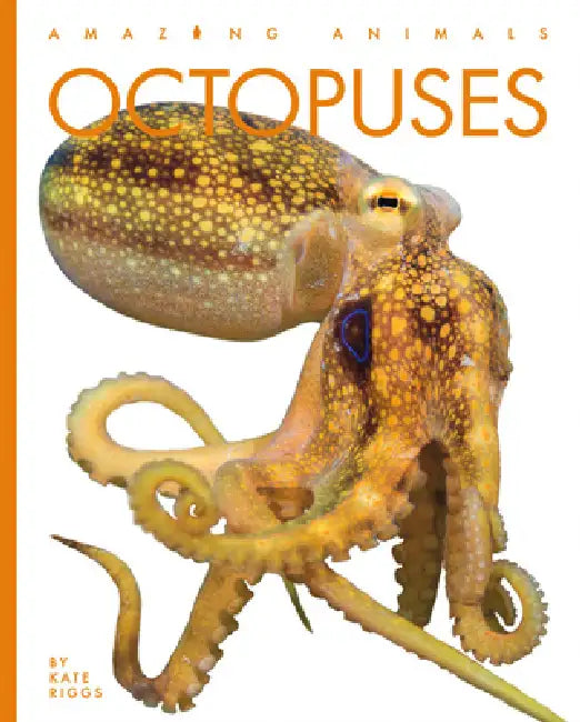 Octopuses by Kate Riggs