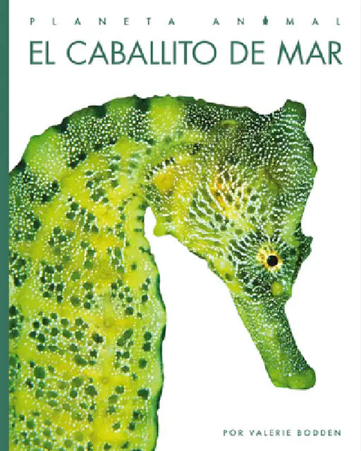 El Caballito de Mar by Valerie Bodden