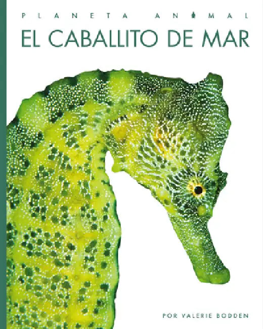 El Caballito de Mar by Valerie Bodden