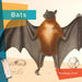 Bats by Melissa Gish