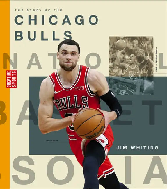 The Story of the Chicago Bulls by Jim Whiting