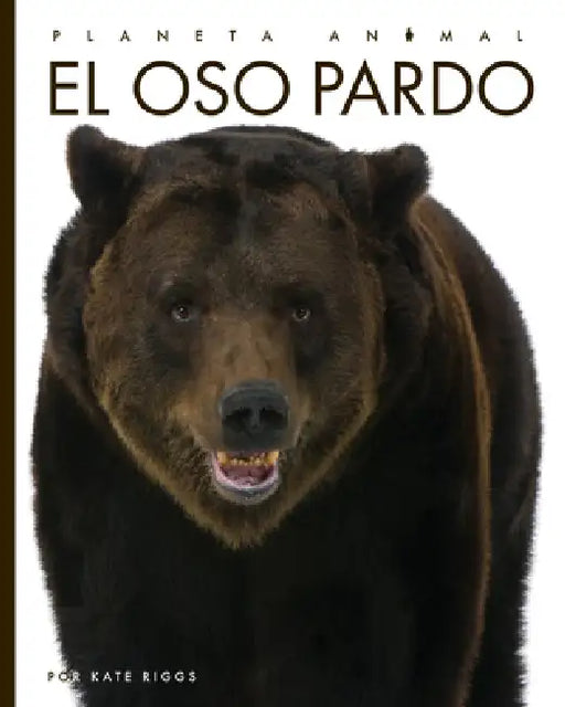 El Oso Pardo by Kate Riggs