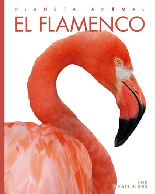 El Flamenco by Kate Riggs
