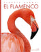 El Flamenco by Kate Riggs