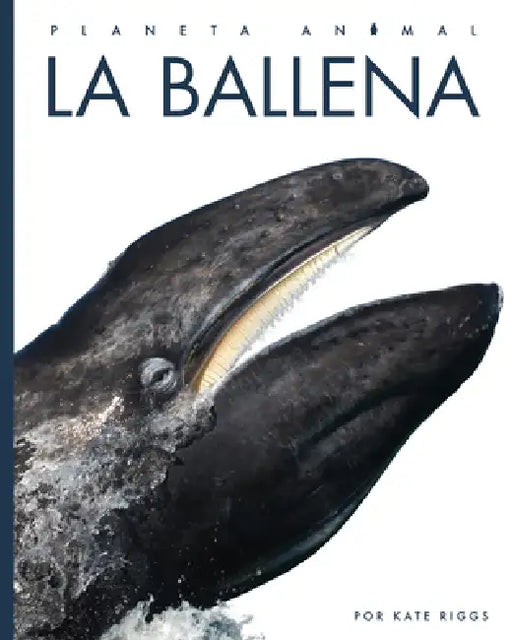La Ballena by Kate Riggs