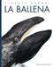 La Ballena by Kate Riggs