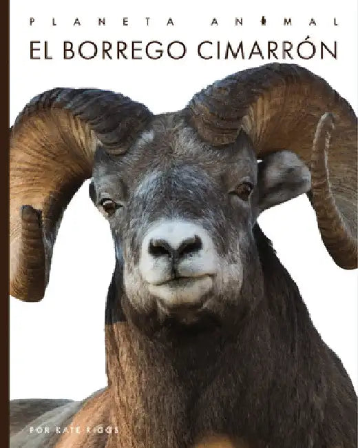 El Borrego Cimarrón by Kate Riggs