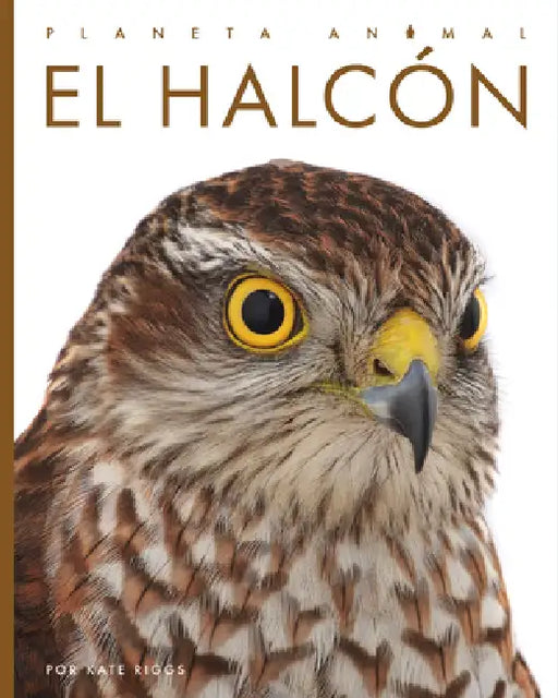 El Halcón by Kate Riggs