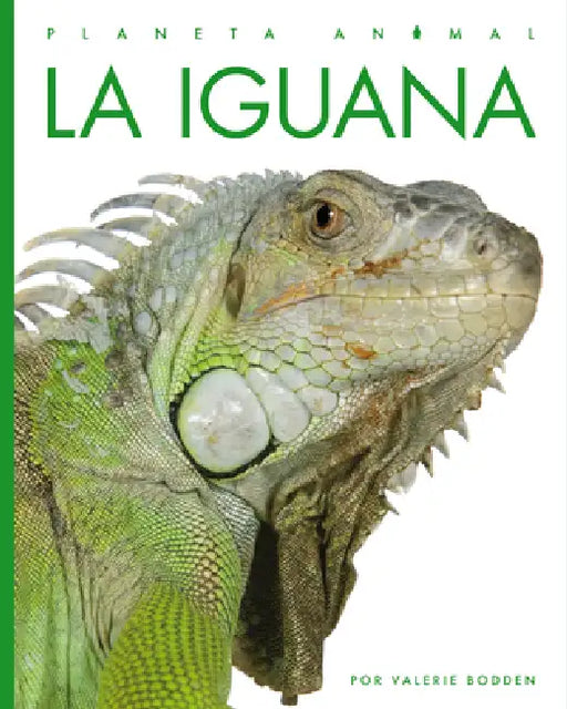 La Iguana by Valerie Bodden