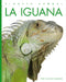 La Iguana by Valerie Bodden