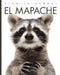 El Mapache by Valerie Bodden