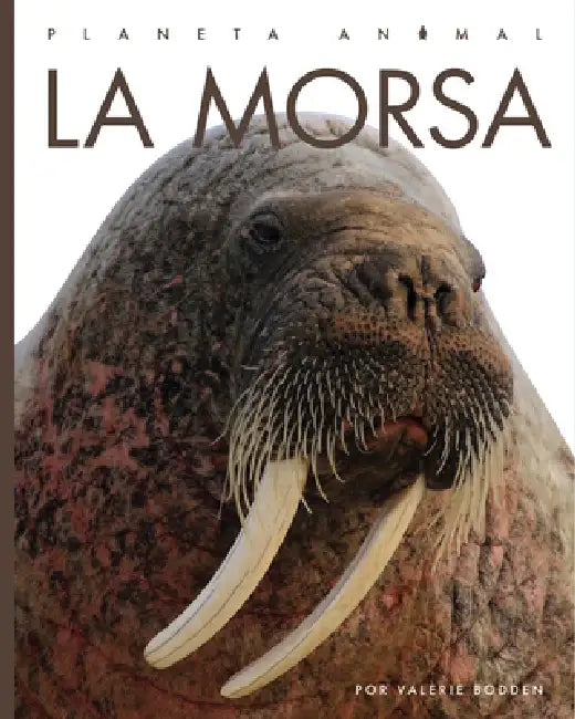 La Morsa by Kate Riggs