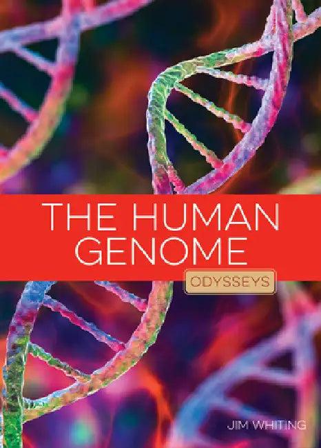 The Human Genome by Jim Whiting