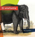 El Elefante by Melissa Gish