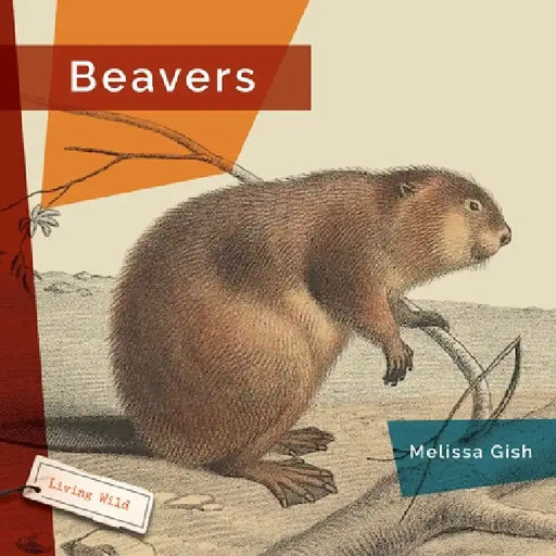 Beavers by Melissa Gish